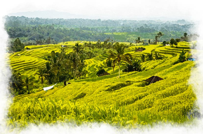Bali, Indonesia - Hospitality experience location