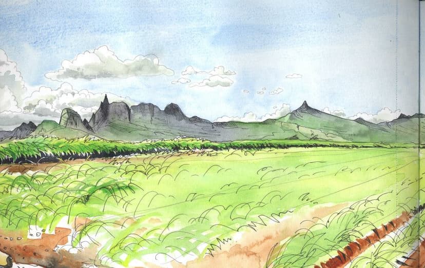 Mauritius - Hospitality experience location
